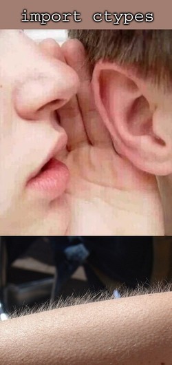 Someone whispering 'import ctypes' and goosebumps appearing on the arm of the listener ctypes